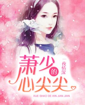 白晓娴霍蔺启小说