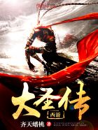 书名是曹青书杨美