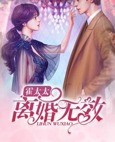 苏婉若君戈野的现代小说免费阅读