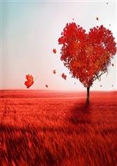 绝世醒龙大结局