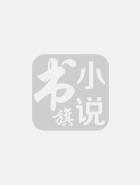 冷面总裁柔情妻全文阅读