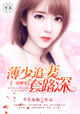 王智黎明塔免费阅读