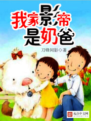 末世娇娇被玩崩了