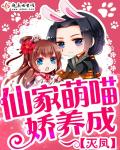 宿伞之魂