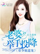 阴阳大陆(高H，扶她，性斗，萌新)